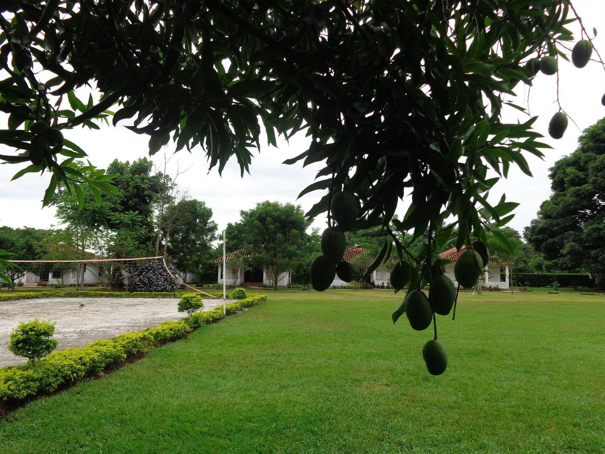 Hotel Campestre Arboretto Villavicencio Dış mekan fotoğraf