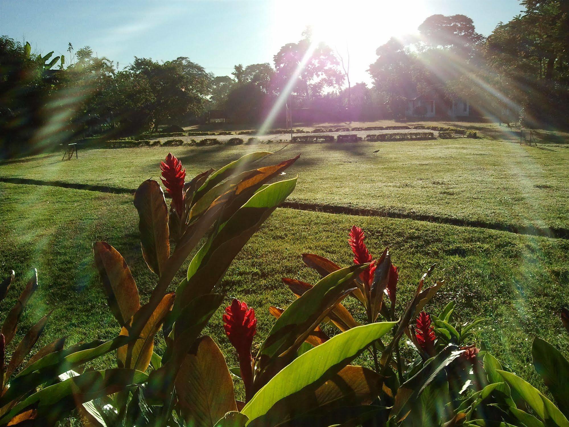 Hotel Campestre Arboretto Villavicencio Dış mekan fotoğraf