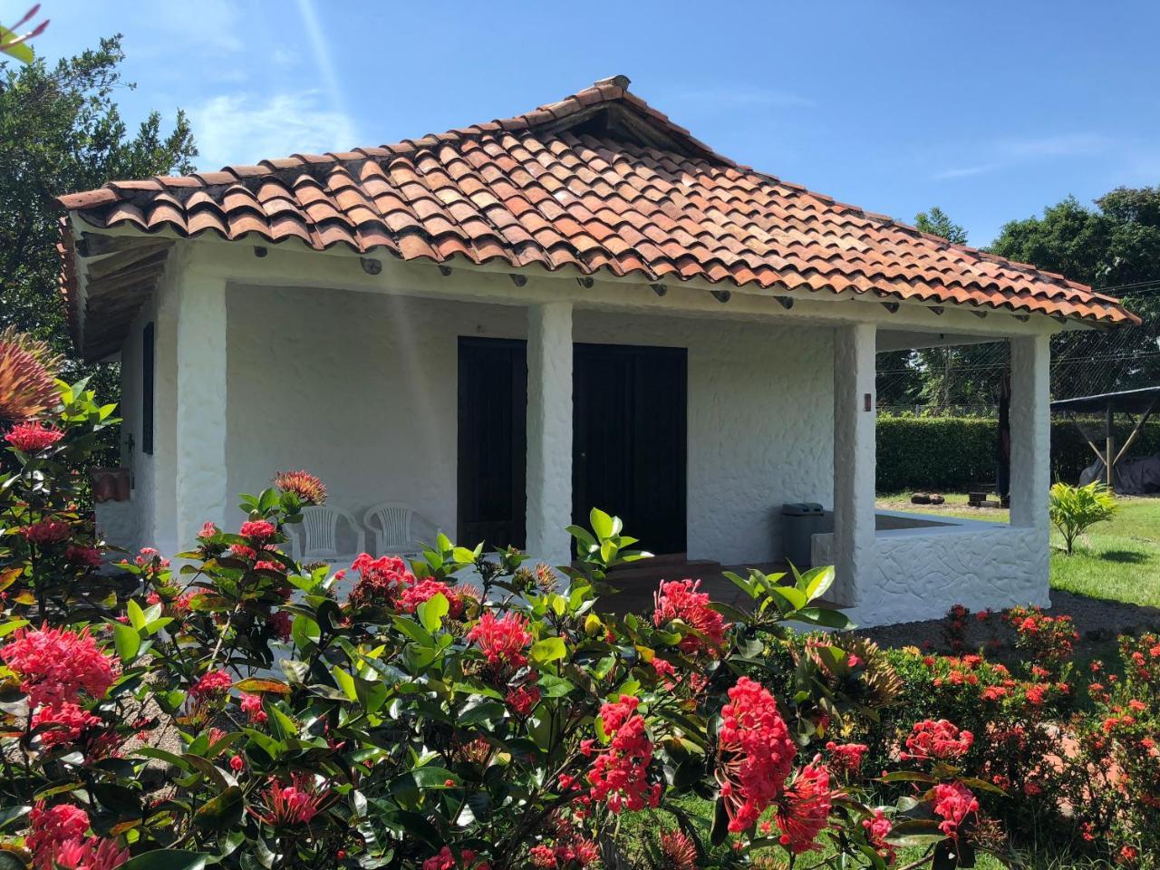 Hotel Campestre Arboretto Villavicencio Dış mekan fotoğraf